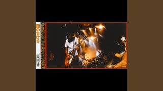 奥田民生 - 恋のかけら