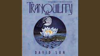 Tranquility, Pt. 1 (Remastered) Wealth