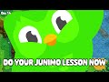 Middle of video
