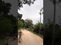 Hills