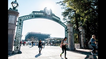 UC Berkeley Global  Professional internships that make an impact