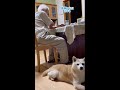 生きてる事に感謝する98歳おじいやん