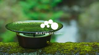 BLUE FOREST Speaker Funding movie