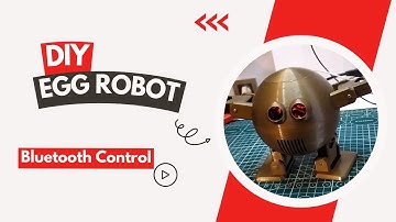 Diy Otto Egg Humanoid Robot (Bluetooth Control)
