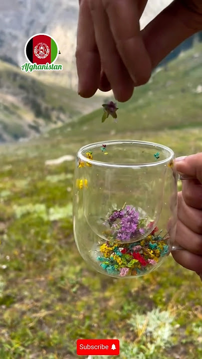 How We Drink Green Tea in Our Afghan Village #shorts #viral