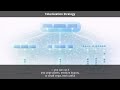 tokenization-strategy