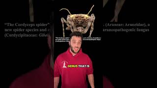 A New Species of Spider that Evolved to Mimic Fungi #evolution #animals #learning #biology #science