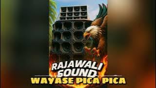 C.M.T_WAYASE PICA_PICA_REMIX(CR) 2025
