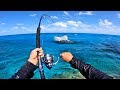 Hookups You Can’t Stop! Giant Reef Fish Breaking Everything
