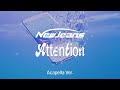 Clean Acapella NewJeans Attention