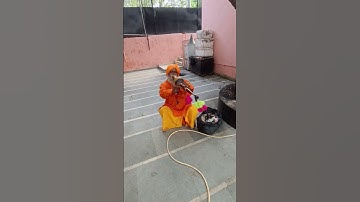 Thumbnail of Tere Sang Pyar Mai Nhi Chodna By Snake Charmer|Stardock Vlogs #snakecharmer #vlog #shorts