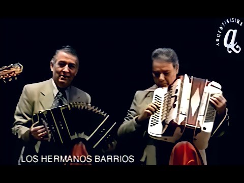 LOS HERMANOS BARRIOS - La flor del malezal · Guitarra compañera · Grito y vuelo del chajá · Chiripá