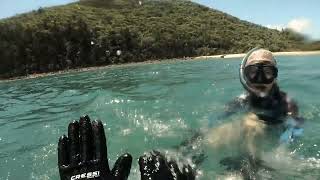 Spearfishing from jetski Goldsmith island Australia