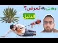 هاك الدليل منين راك تمرض اسمع واش راح يسرا فالي نفخوهم هاك الدليل منين راك تمرض اسمع واش راح يسرا فالي نفخوهم