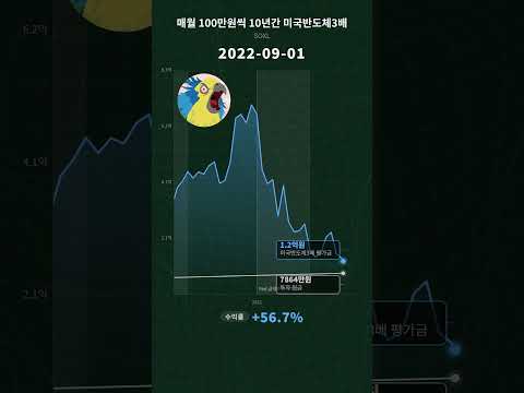 매월 100만 원씩 미국 반도체 3배(SOXL) 10년 몰빵했더니 벌어지는 일 #경제적자유 #주식투자의신 🚀 (수익률 1766%)