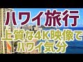 【ハワイ旅行】【4K】週末ハワイ!? 4K映像中毒者続出!? 4K映像は病みつきになる JALハワイ ハワイ観光 ホノルル観光 2020年2月最新版 | Waikiki Honolulu Hawaii