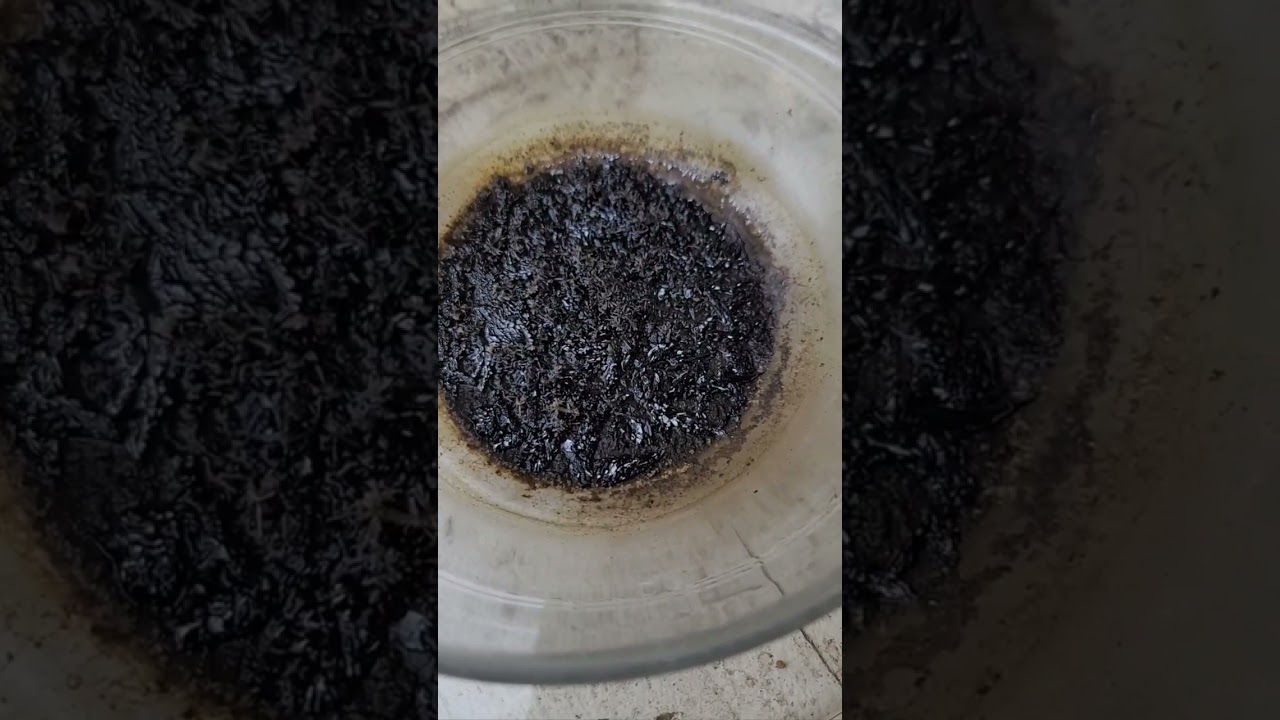 Alchemy Black White Stage