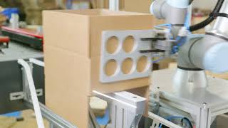 Meet the boxEZ cobot case erector by Flex-Line Automation, Inc.