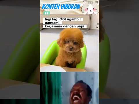 أوجي يأخذ أموال مامي مرة أخرى مضحك فيديو قصير