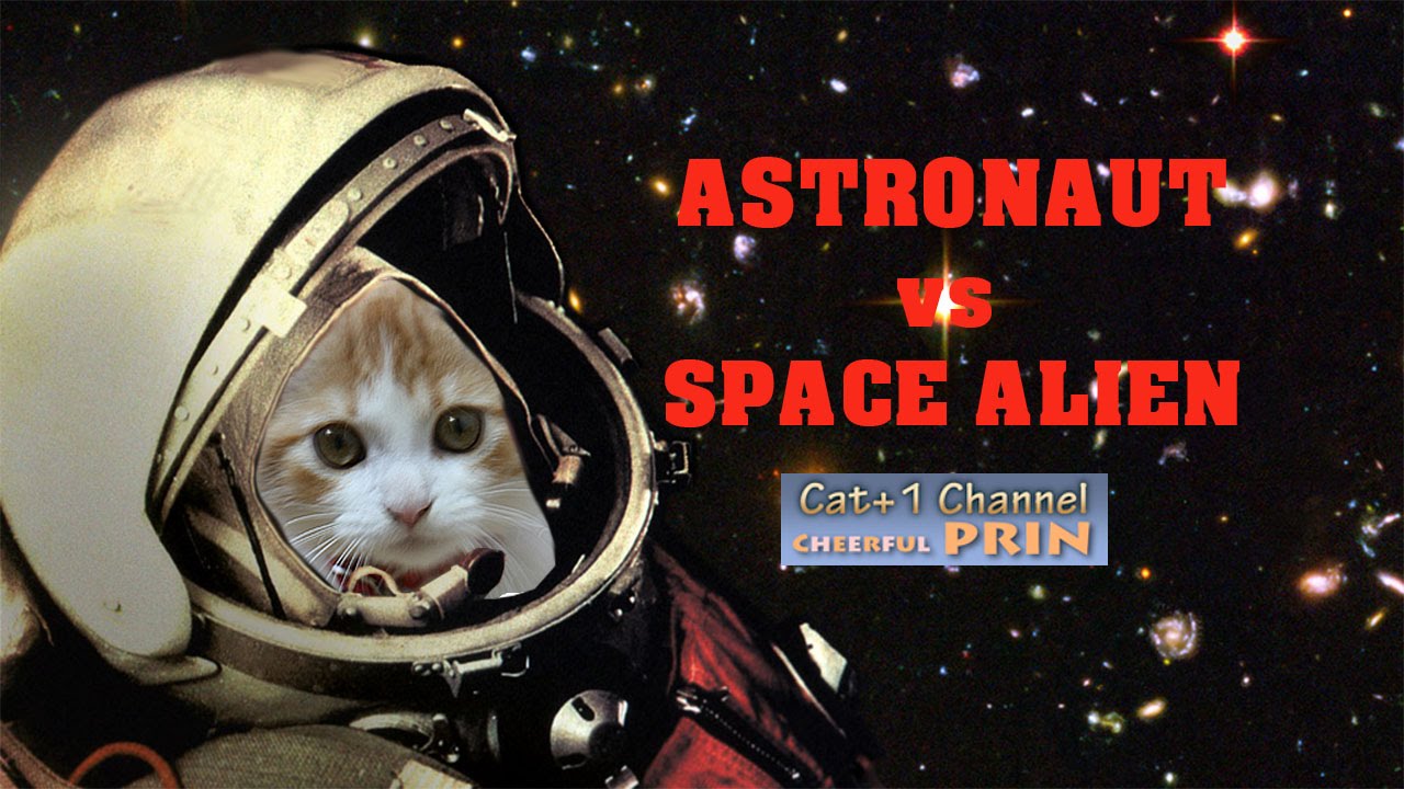 kawaii emoticons 猫 おもしろ動画 エイリアンと戦う子猫のプリン ／ Kitten PRIN to fight space alien, is the hero of the spacecraft