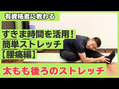 太もも後ろのストレッチ｜すきま時間を活用！簡単ストレッチ【腰痛編】