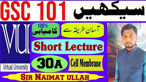 GSC101 Short Lecture 30a|GSC 101|CELL THEORY|Biology|CELLULAR COMPONENT|Cell membrane|Movements|vu.