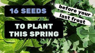 16 Vegetables to plant before your last frost date