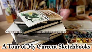 A Tour of All My Current Sketchbooks | How I use Sketchbooks in my Creative Practice | Watercolour by Anastasia Mily - Watercolour Art 5,038 views 3 weeks ago 17 minutes