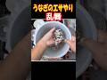 うなぎがこのエサに殺到する瞬間 #うなぎ #飼育