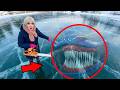FROZEN EL GRAN MAJA in Real Life!
