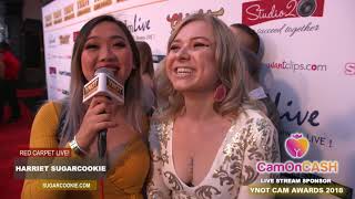 YNOT Cam Awards 2018 Red Carpet with Kaiia Eve