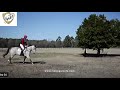 Air Vest Myth Busters - My Horse Will Spook