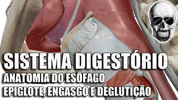 O que acontece se a epiglote falhar?