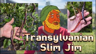 Transylvanian Slim Jim||A Matt’s Peppers Creation