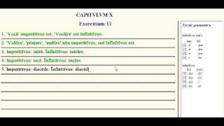 Lingua - 10.G - Exercise Tutorial