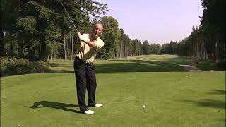 Ben Hogan the  Grip P2 - Hinges in Plane