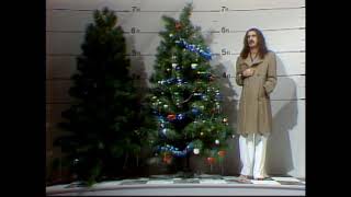 SNL - Frank Zappa and the Killer Christmas Tree (pt 1) - video Net Worth