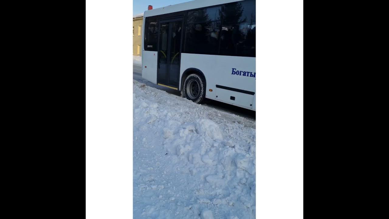 Петропавловск камчатский автобусный парк новый автобус будет. Автобусы петропавловск. Петропавловск камчатский автобусный парк новый автобус будет. Автобусы петропавловск. Общественные транспорт петропавловск.