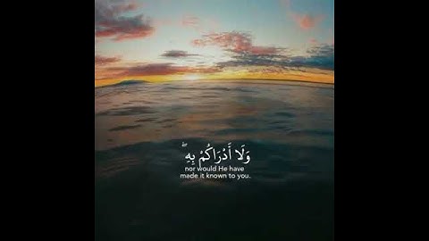 راحة نفسية/أجمل وأفضل حالات واتس اب قران بصوت القارئ عبدالرحمن مسعد/حالات دينيه/ستوريات انستا قران