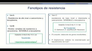 Invasive infections caused by E. faecium and E. faecalis - Dr. Mayra A Bonilla Reyna