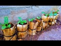Amazing idea grow vegetables with banana trunk for beginners  sustainable gardening