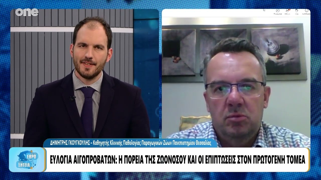 Ευλογιά Αιγοπροβάτων: «Σε ύφεση η ζωονόσος» – Οι εκτιμήσεις και τα σενάρια