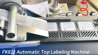 FK811 Automatic Plane Labeling Machine