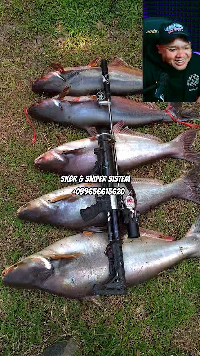 Paser ikan skbr dan sniper sistem #mancing #nembakikan #fishing #skbr