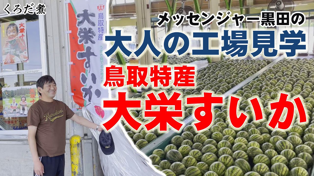 【スイカ】大人の工場見学シリーズ！鳥取県の名産・大栄すいかの選果場へ