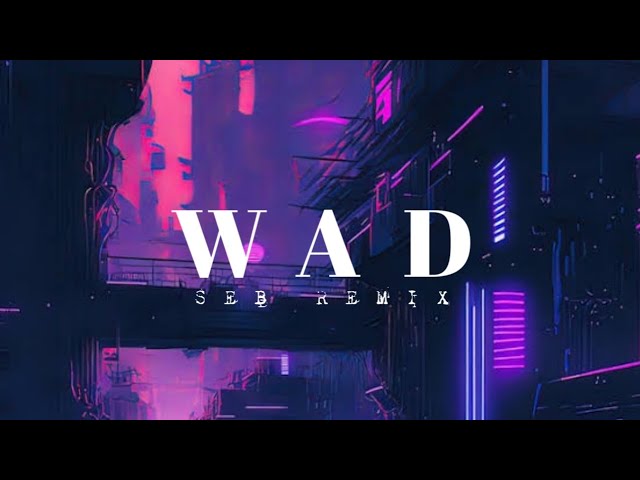 Wad ( SEB Remix) class=