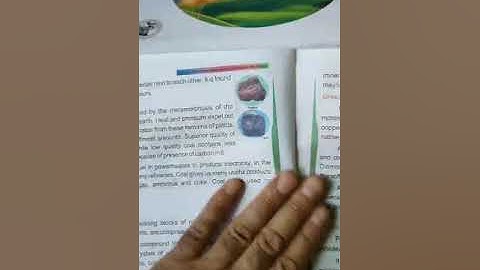 Class 5Th EVS... Rock