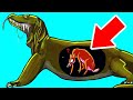 Animales Horrorosos Que Debes Evitar A TODA COSTA!