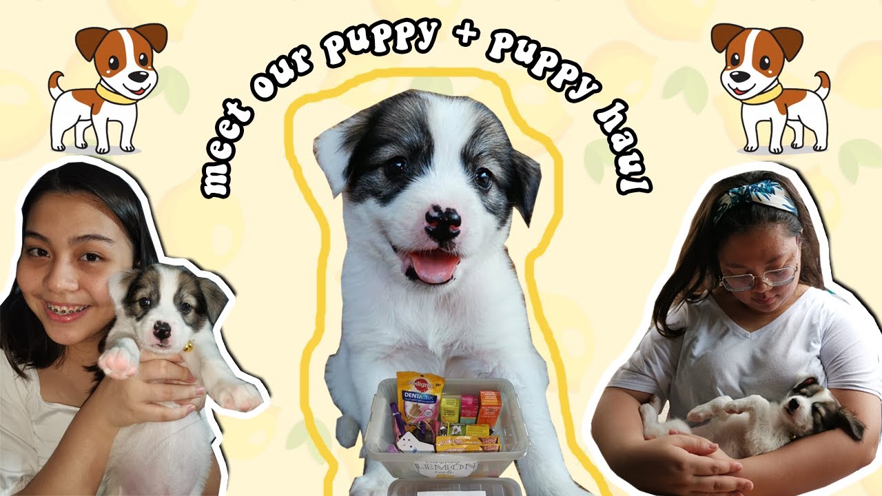 Meet our very FIRST Puppy + Puppy Haul!!! (Philippines) || PiaKlarisa