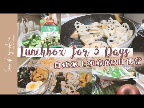 JP Daily Vlog#13｜日本生活。日本自炊派上班族的3日便當。Lunchbox prep idea。醬燒海苔豆腐🍱。 Simple life in Japan